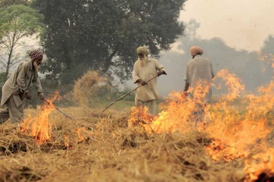 Stubble burning pollutes air