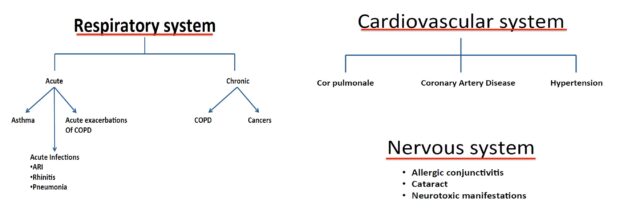 Pollution Effect on health