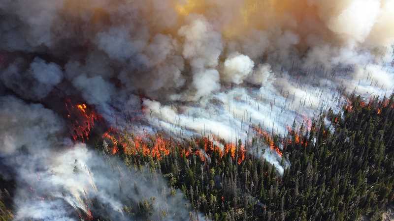 Wildfire cause air pollution