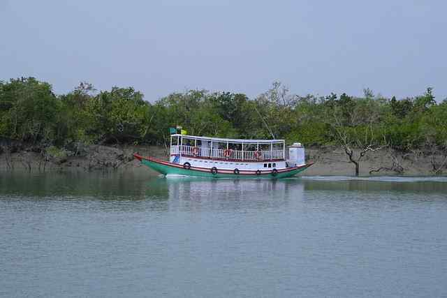 sundarban tourism